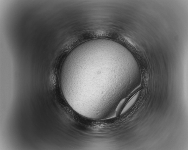 X0000095880746200801181205