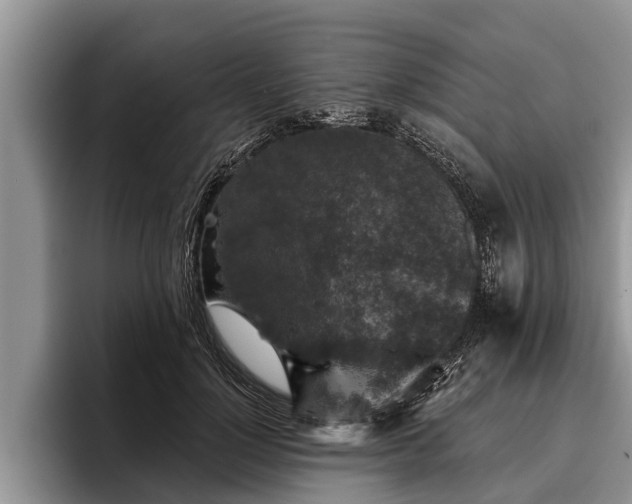 X0000095880748200801181205