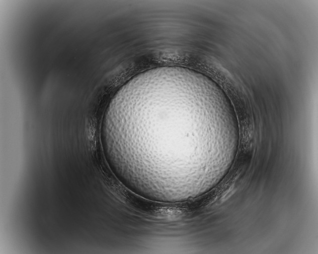 X0000095880749200801181205