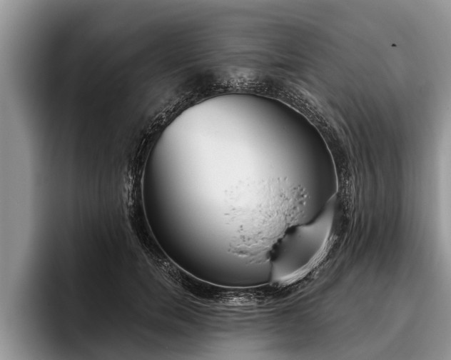 X0000095880750200801181205