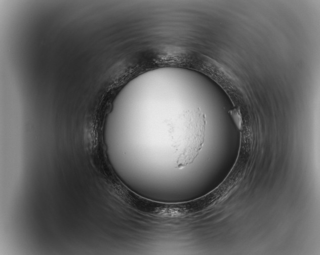 X0000095880751200801181205