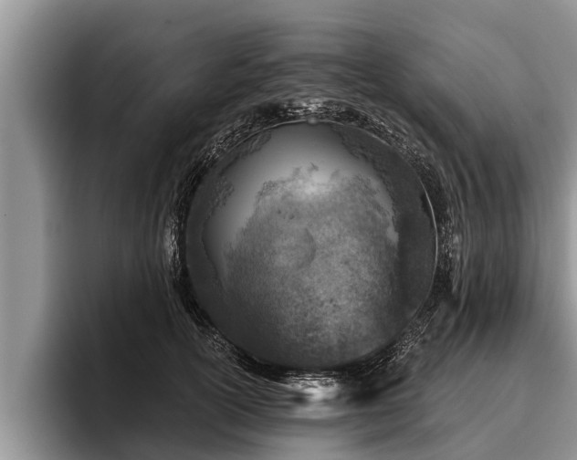 X0000095880754200801181205