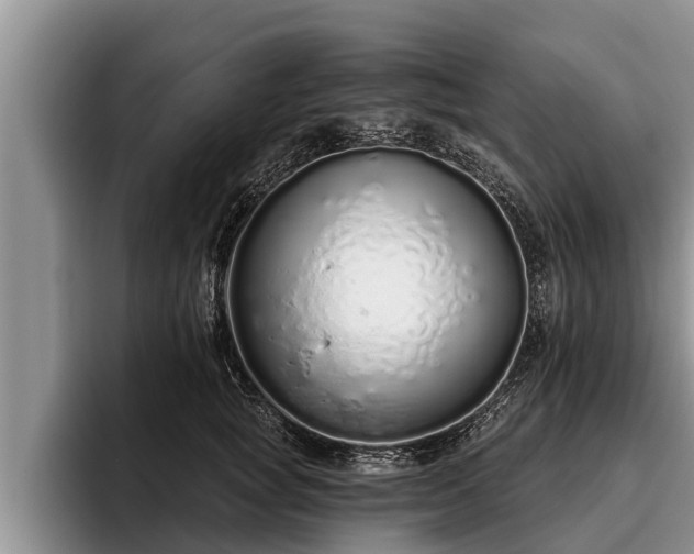 X0000095880757200801181205