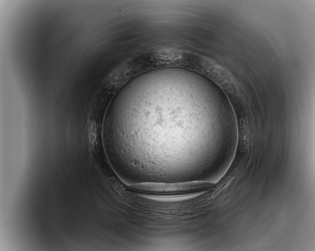 X0000095880758200801181205