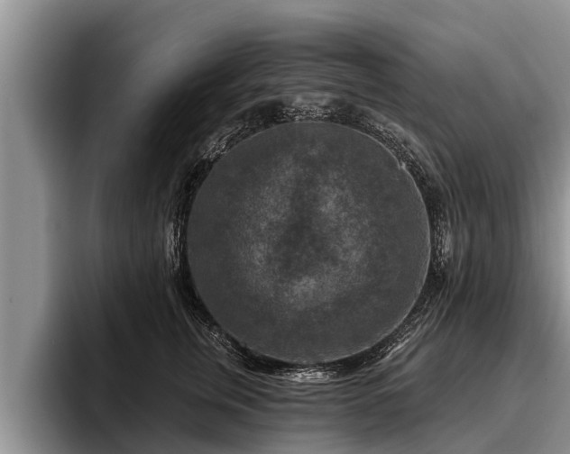 X0000095880759200801181205