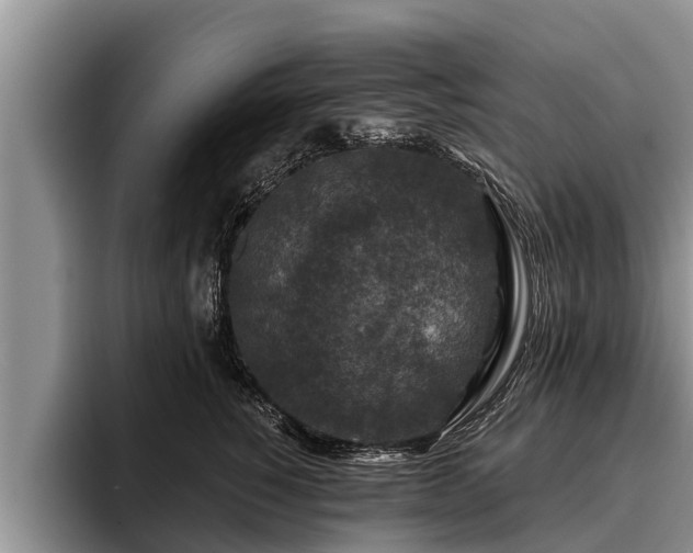 X0000095880760200801181205