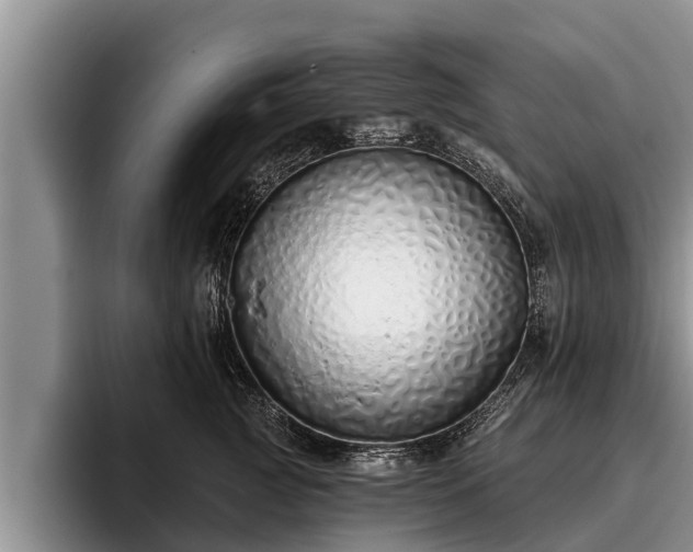 X0000095880761200801181205