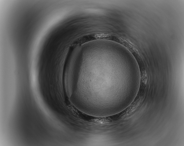 X0000095880763200801181205