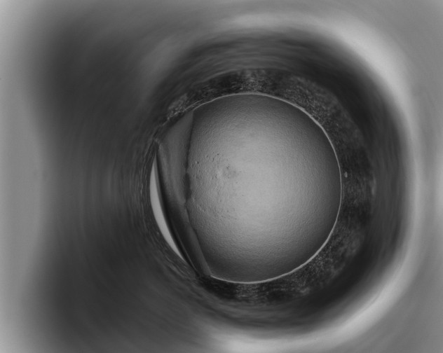 X0000095880766200801181205