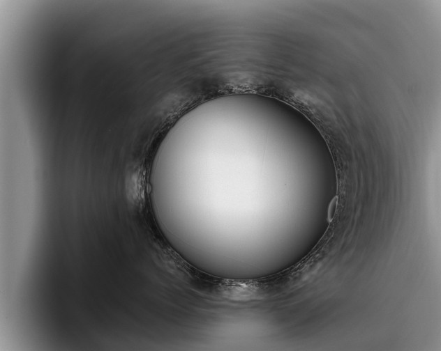 X0000095880768200801181205