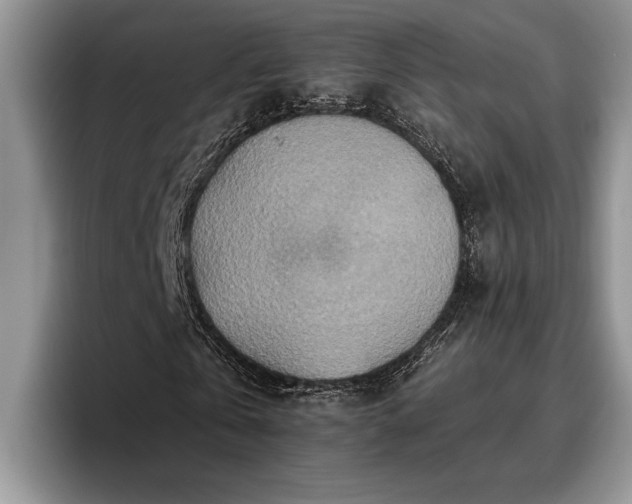 X0000095880769200801181205