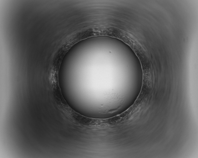 X0000095880770200801181205