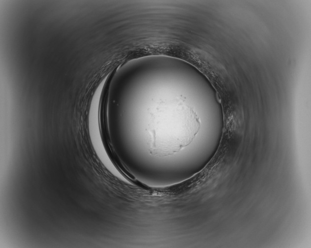 X0000095880772200801181205