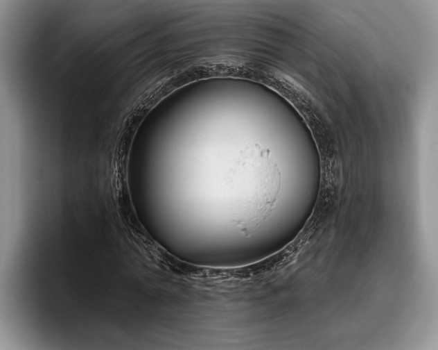 X0000095880774200801181205