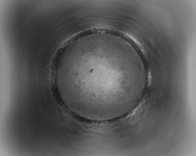 X0000095880775200801181205