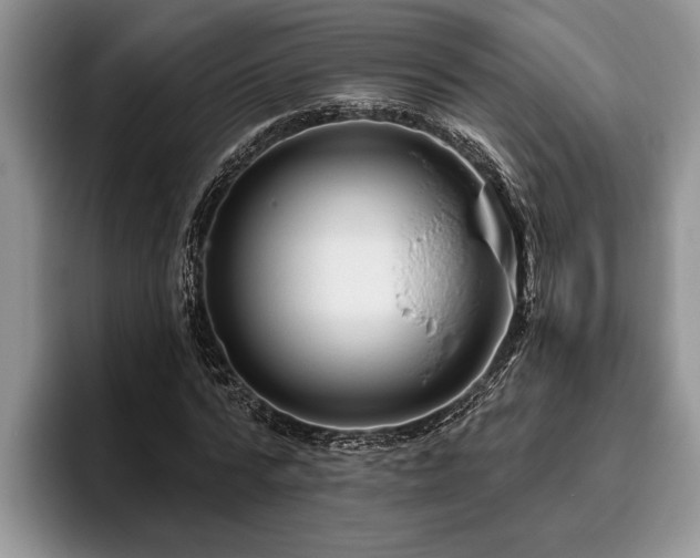 X0000095880776200801181205