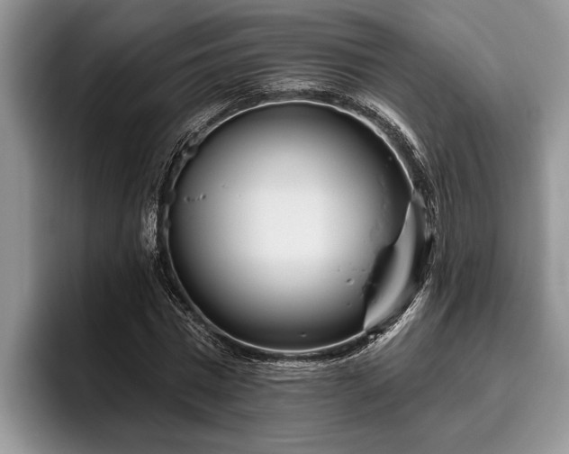 X0000095880777200801181205