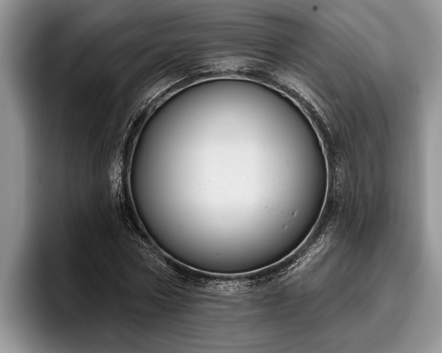 X0000095880778200801181205