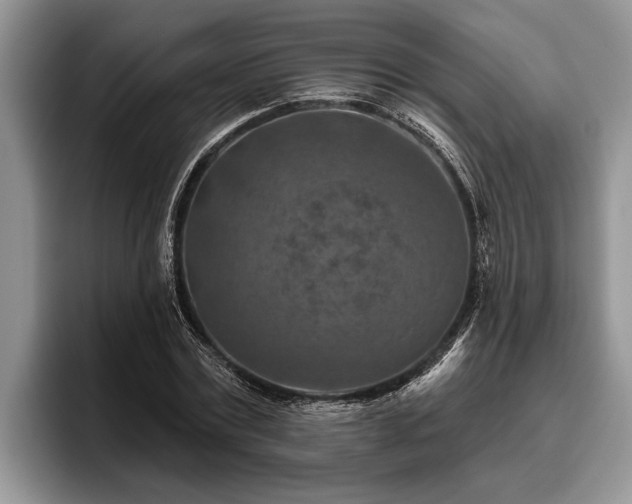 X0000095880779200801181204