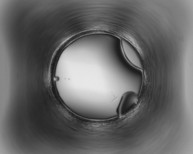 X0000095880780200801181204
