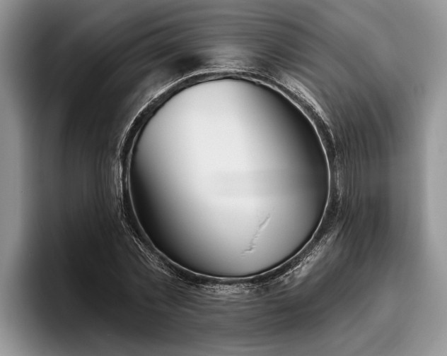 X0000095880781200801181204