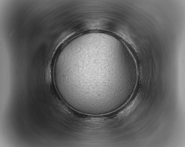 X0000095880782200801181204