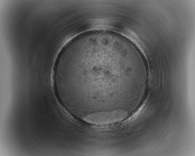 X0000095880783200801181204