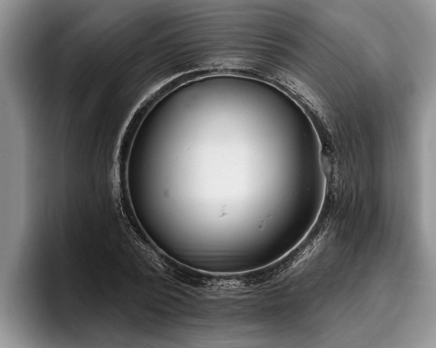 X0000095880784200801181204