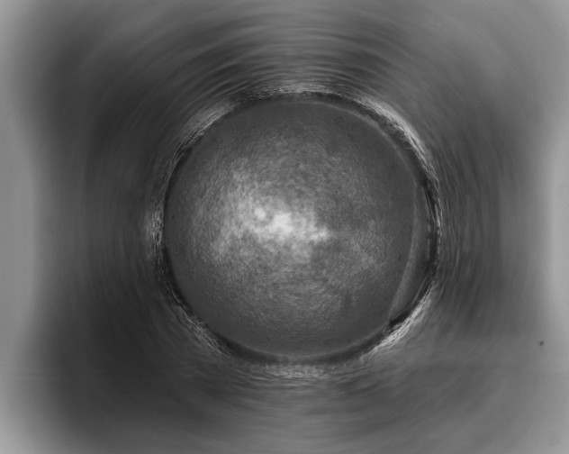 X0000095880785200801181204