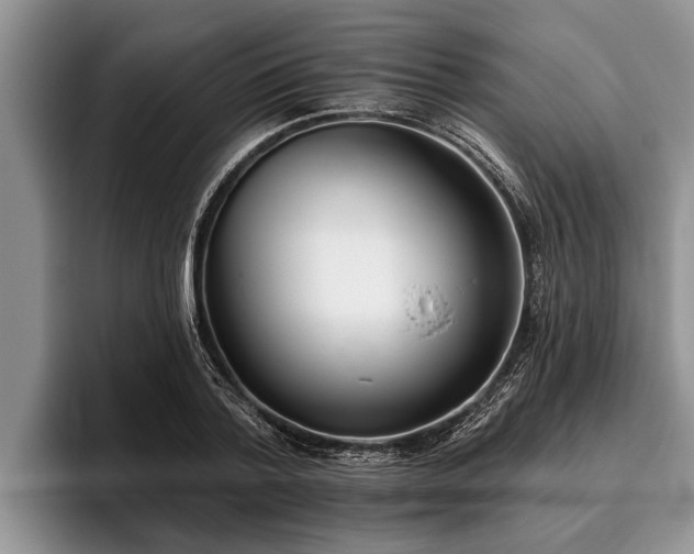 X0000095880788200801181204