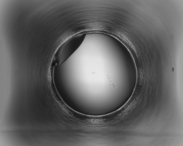 X0000095880789200801181204