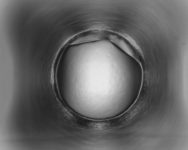 X0000095880791200801181204