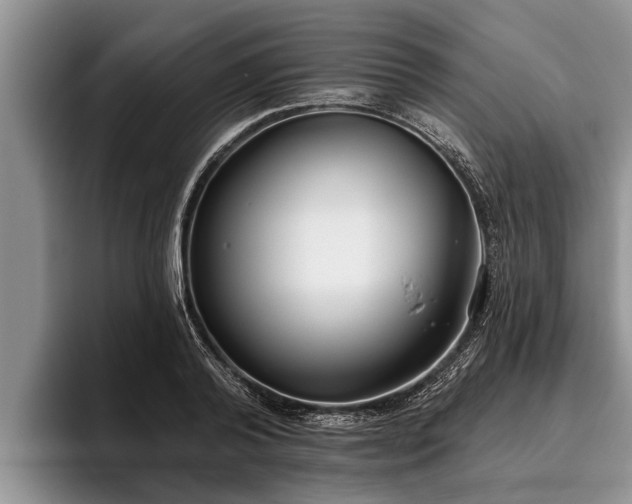 X0000095880792200801181204
