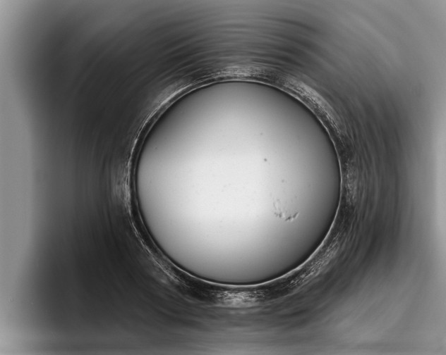 X0000095880794200801181204
