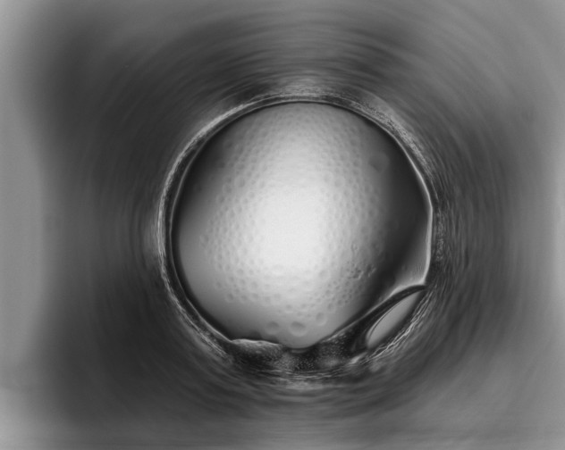 X0000095880795200801181204