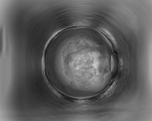 X0000095880796200801181204