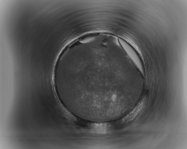 X0000095880797200801181204