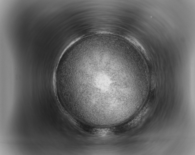 X0000095880798200801181204