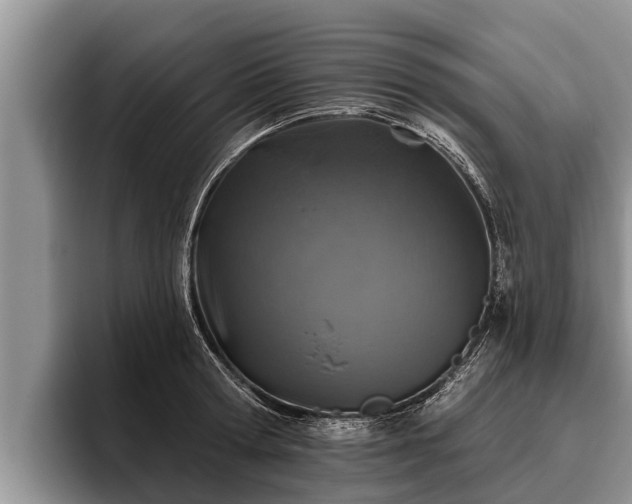 X0000095880802200801181204