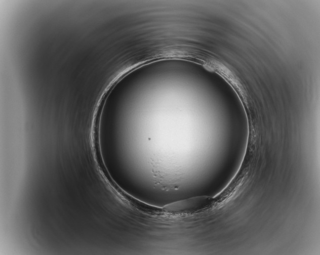 X0000095880803200801181204