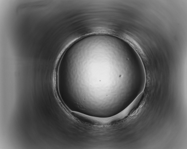 X0000095880804200801181204