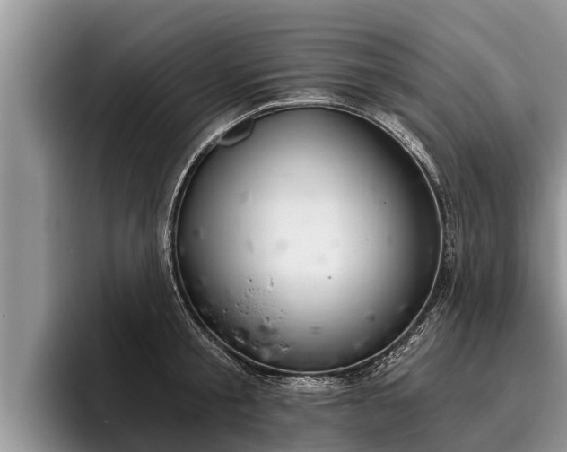X0000095880805200801181204