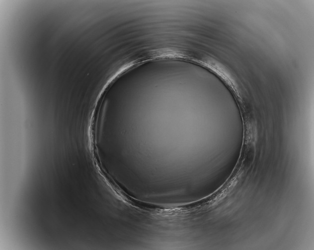 X0000095880806200801181204