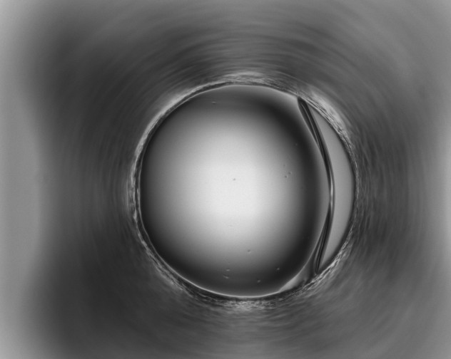 X0000095880808200801181204