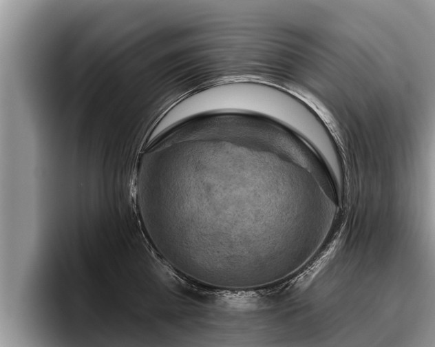 X0000095880809200801181204
