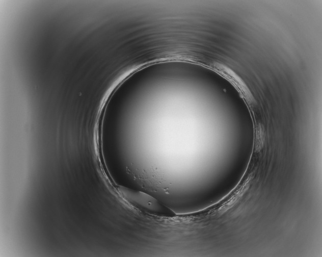 X0000095880812200801181204