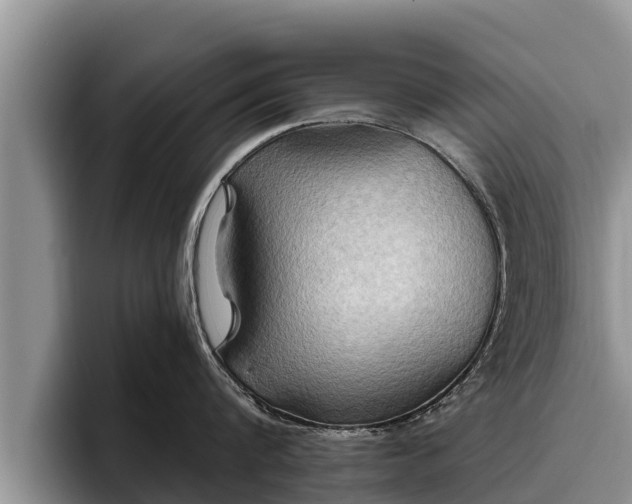 X0000095880816200801181204