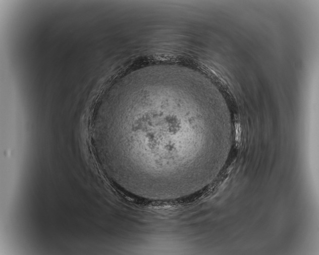 X0000095880817200801181203