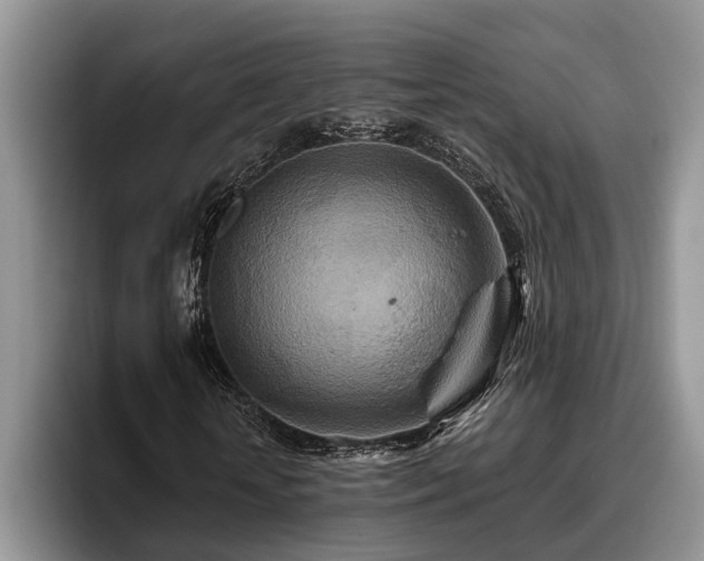 X0000095880818200801181203