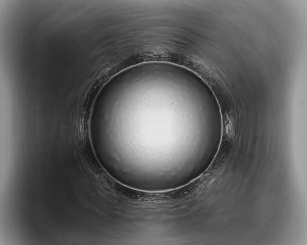 X0000095880819200801181203